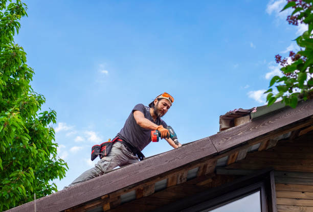 New Waverly, TX Roofing services Company